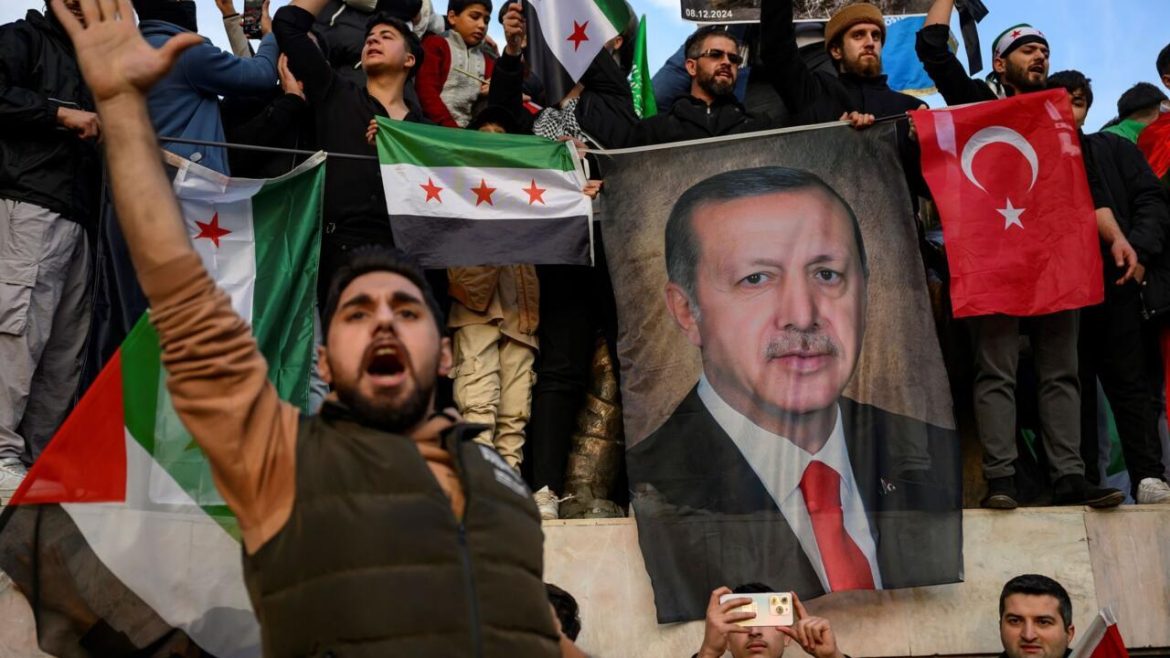 After Assad's fall, Erdogan enjoys moment 'in the sun': analysts