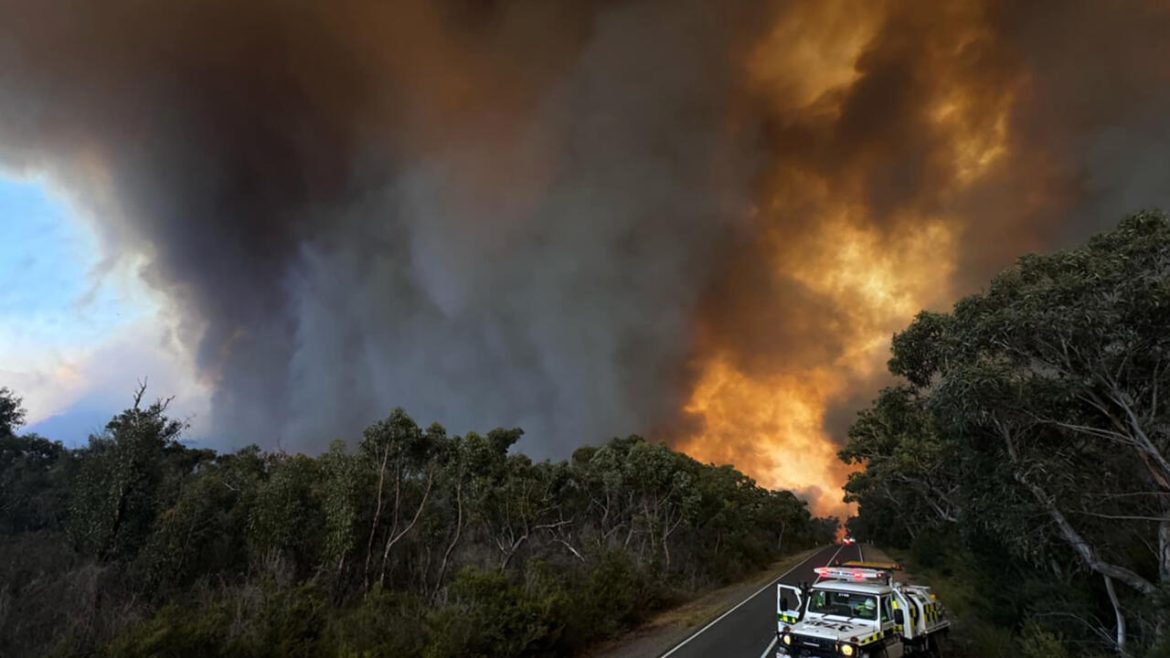 Australian bushfire burns area the size of Singapore