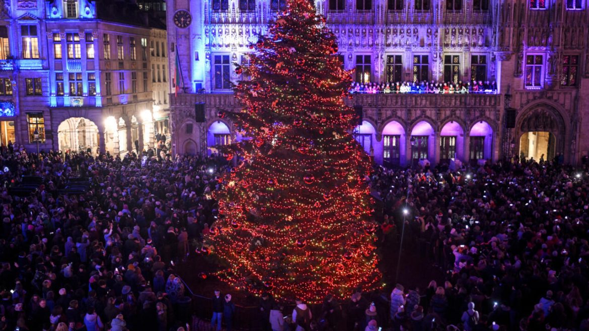 Don't eat your Christmas tree, warns Belgium food agency