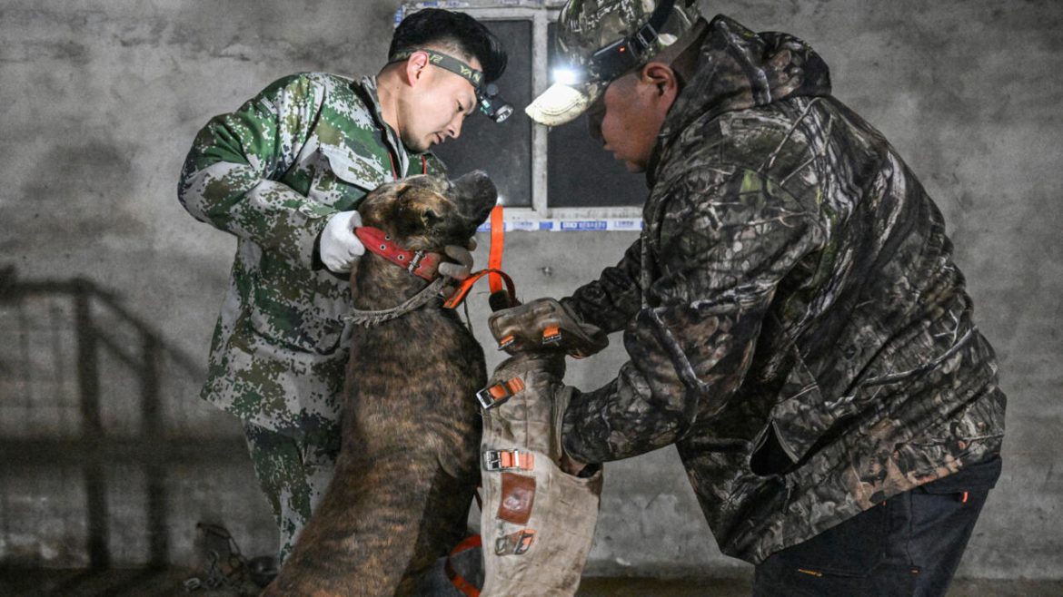 China's viral wild boar hunters attract fame and concern