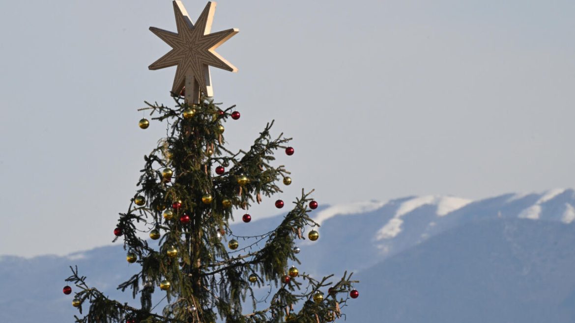 Sweden says Christmas tree needles safe to eat