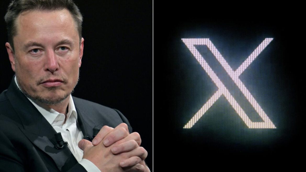 Musk promotes German far