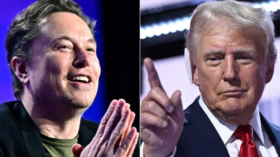 Musk seeks Trump pardon for 'Bitcoin Jesus,' charged with fraud